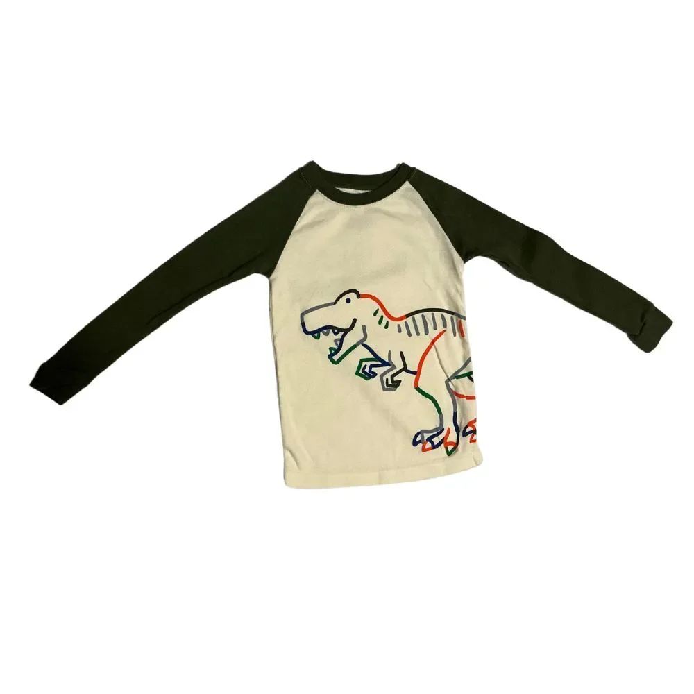 Toddler Dinosaur Pajamas 3T Cotton Snug Fit Set Raglan Top Pants Green Cream